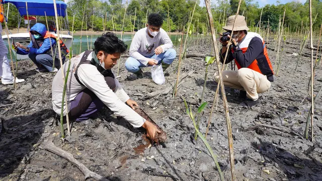 Gerilya Pertamina Jalankan Reforestasi dan Konservasi Untuk Menjaga Kelestarian Alam